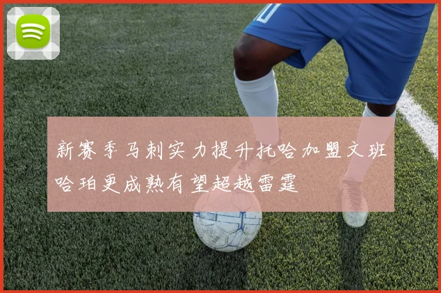新赛季马刺实力提升托哈加盟文班哈珀更成熟有望超越雷霆